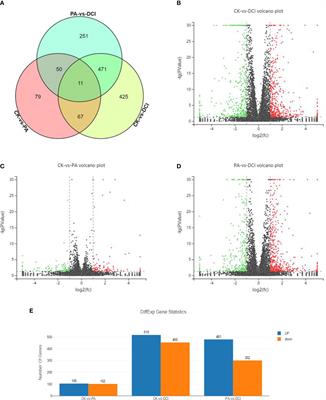 Differential Gene Expression and Biological Analyses of Primary Hepatocytes Following D-Chiro-Inositol Supplement